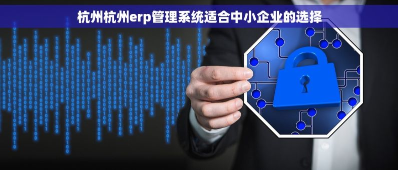 杭州杭州erp管理系统适合中小企业的选择