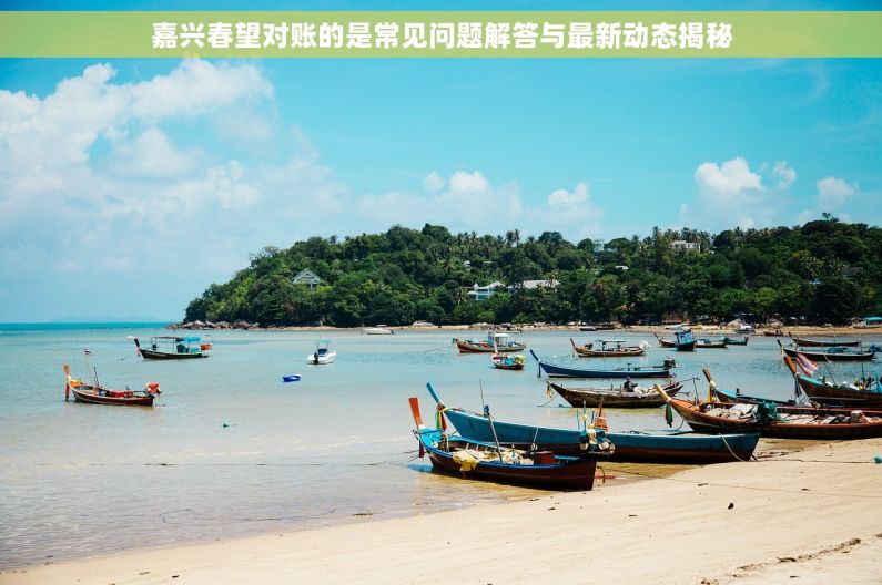 嘉兴春望对账的是常见问题解答与最新动态揭秘