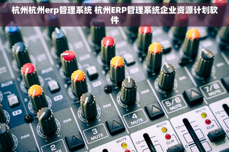杭州杭州erp管理系统 杭州ERP管理系统企业资源计划软件