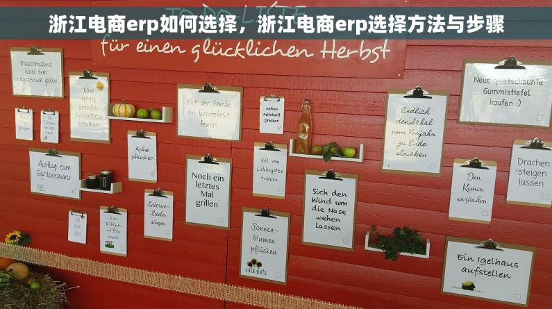 浙江电商erp如何选择，浙江电商erp选择方法与步骤