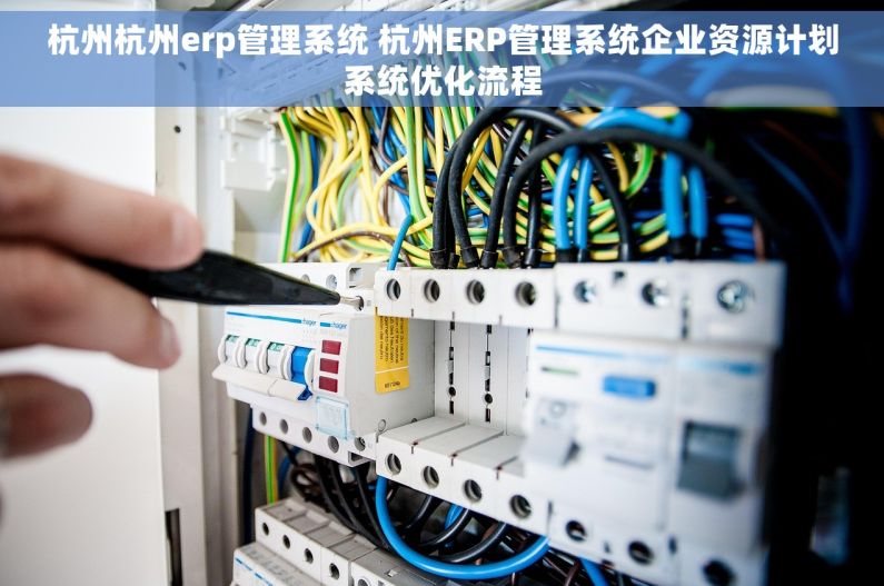 杭州杭州erp管理系统 杭州ERP管理系统企业资源计划系统优化流程