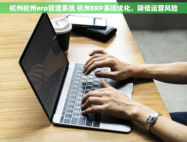 杭州杭州erp管理系统 杭州ERP系统优化，降低运营风险