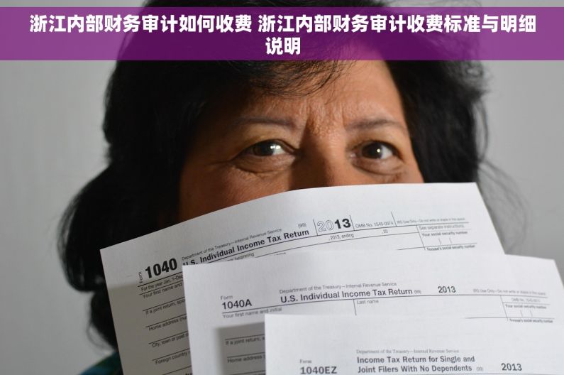 浙江内部财务审计如何收费 浙江内部财务审计收费标准与明细说明