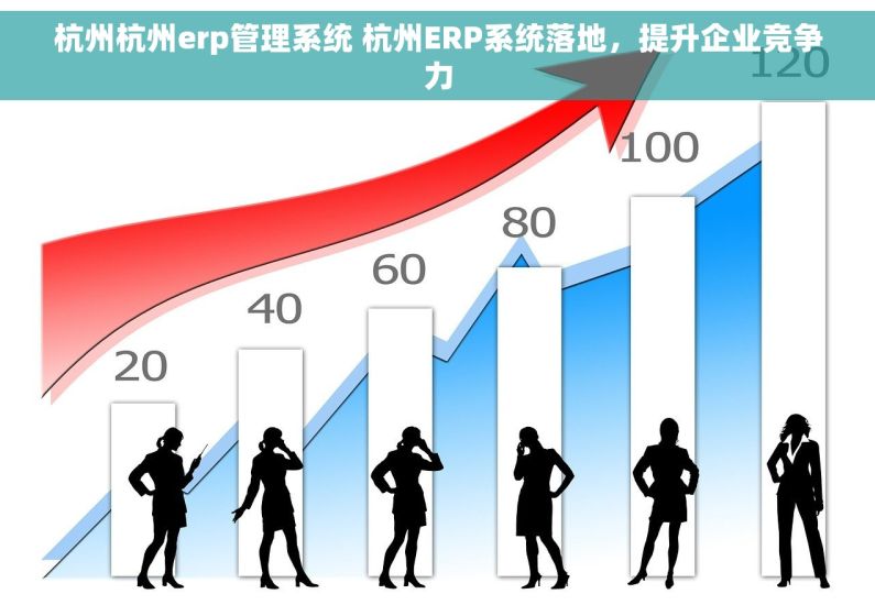 杭州杭州erp管理系统 杭州ERP系统落地，提升企业竞争力
