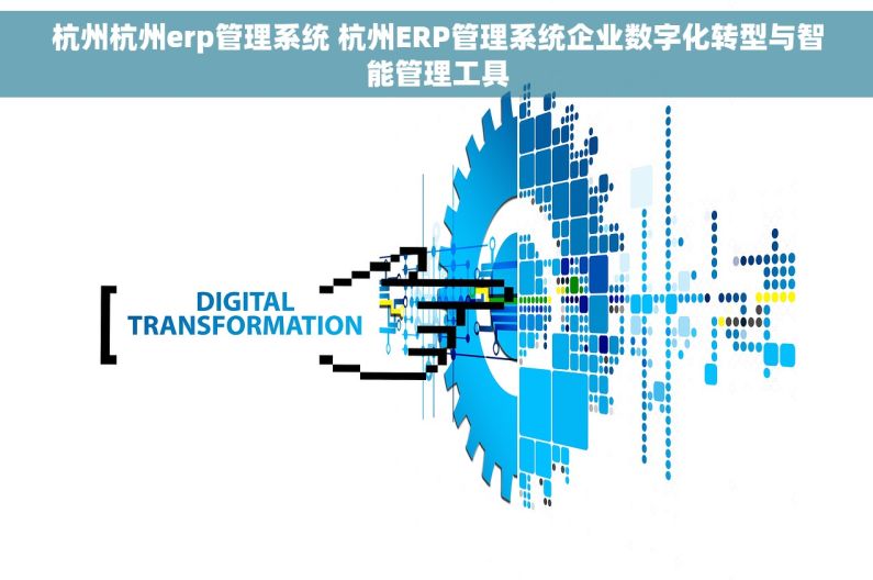 杭州杭州erp管理系统 杭州ERP管理系统企业数字化转型与智能管理工具