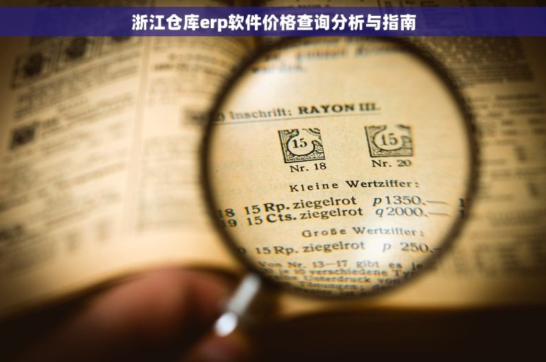 浙江仓库erp软件价格查询分析与指南