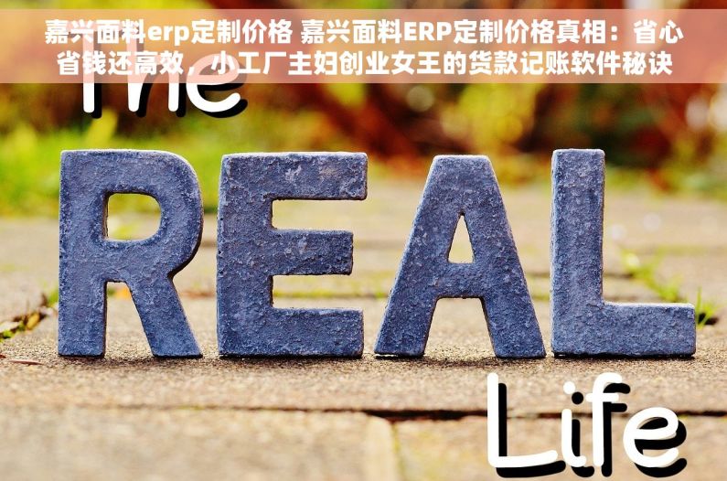 嘉兴面料erp定制价格 嘉兴面料ERP定制价格真相：省心省钱还高效，小工厂主妇创业女王的货款记账软件秘诀