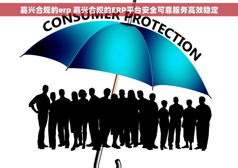 嘉兴合规的erp 嘉兴合规的ERP平台安全可靠服务高效稳定