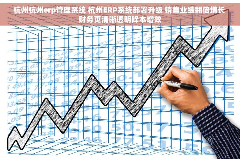 杭州杭州erp管理系统 杭州ERP系统部署升级 销售业绩翻倍增长 财务更清晰透明降本增效