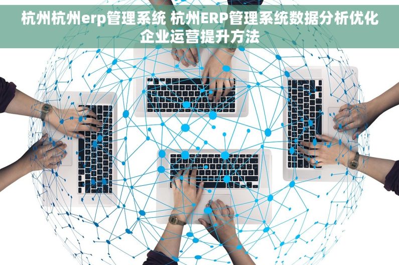 杭州杭州erp管理系统 杭州ERP管理系统数据分析优化企业运营提升方法