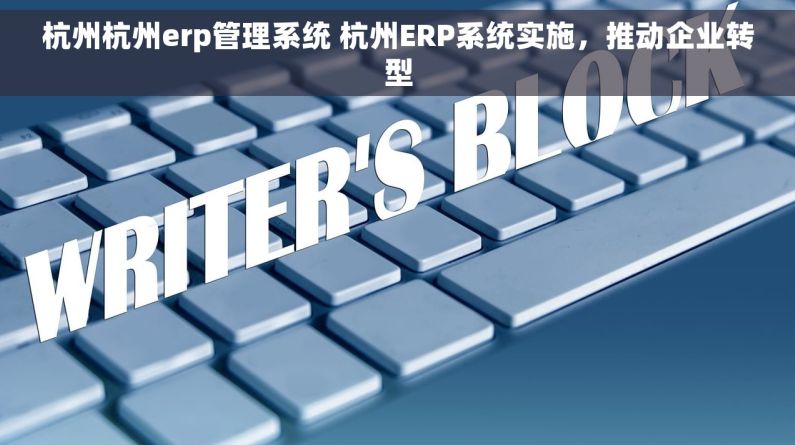 杭州杭州erp管理系统 杭州ERP系统实施，推动企业转型