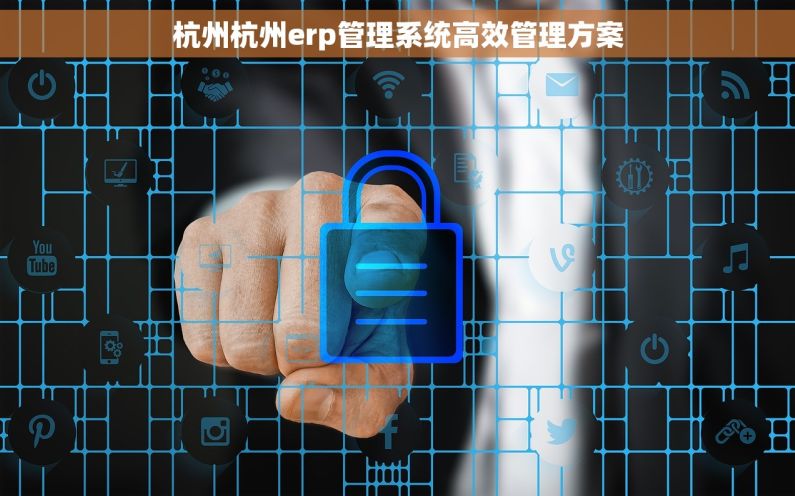 杭州杭州erp管理系统高效管理方案