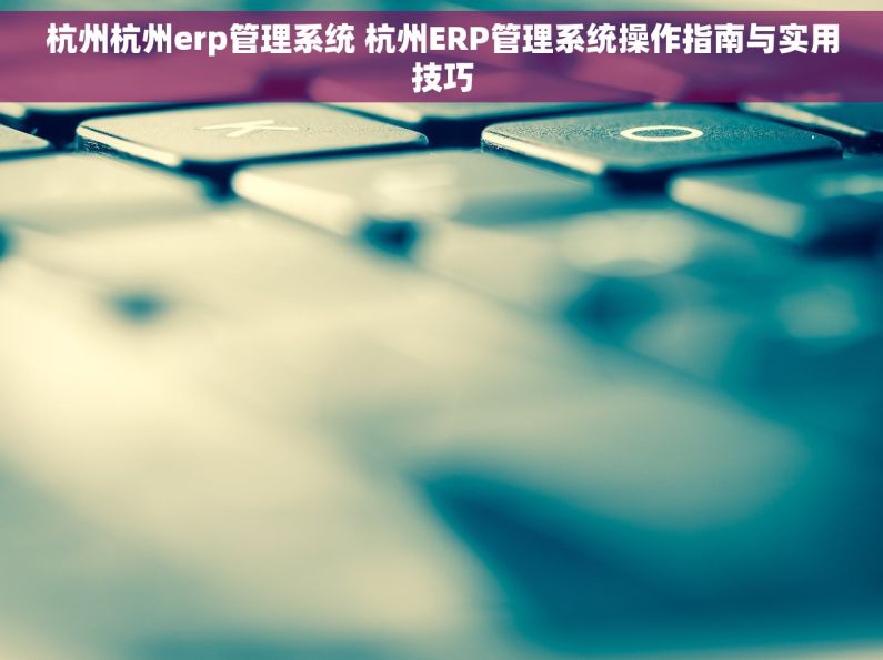 杭州杭州erp管理系统 杭州ERP管理系统操作指南与实用技巧