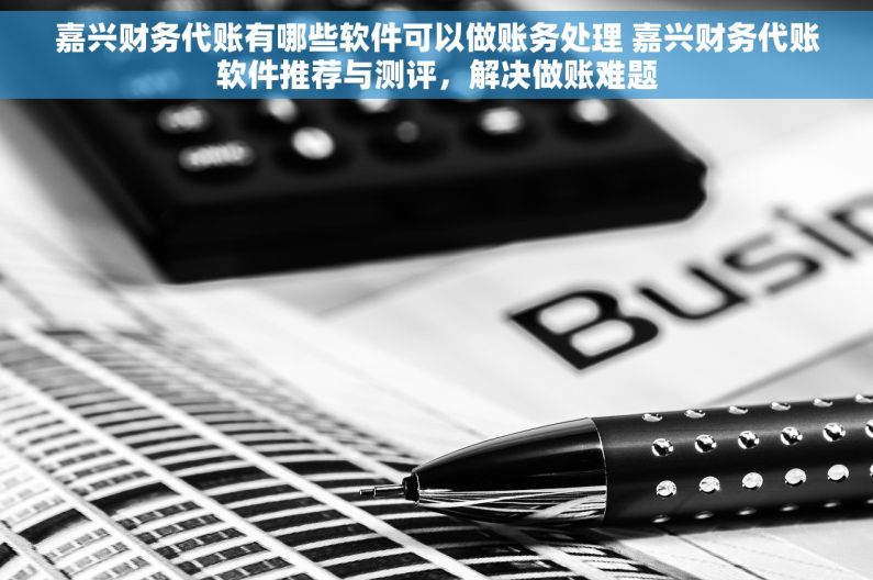 嘉兴财务代账有哪些软件可以做账务处理 嘉兴财务代账软件推荐与测评，解决做账难题
