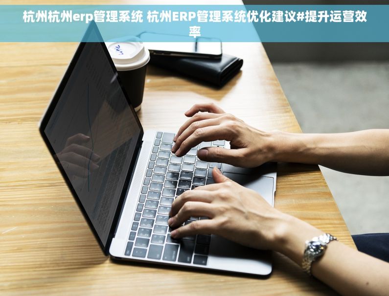 杭州杭州erp管理系统 杭州ERP管理系统优化建议#提升运营效率