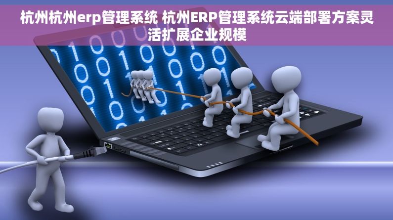 杭州杭州erp管理系统 杭州ERP管理系统云端部署方案灵活扩展企业规模