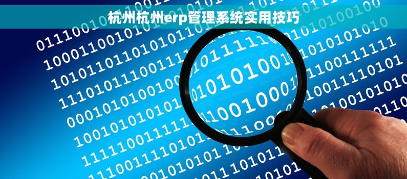 杭州杭州erp管理系统实用技巧