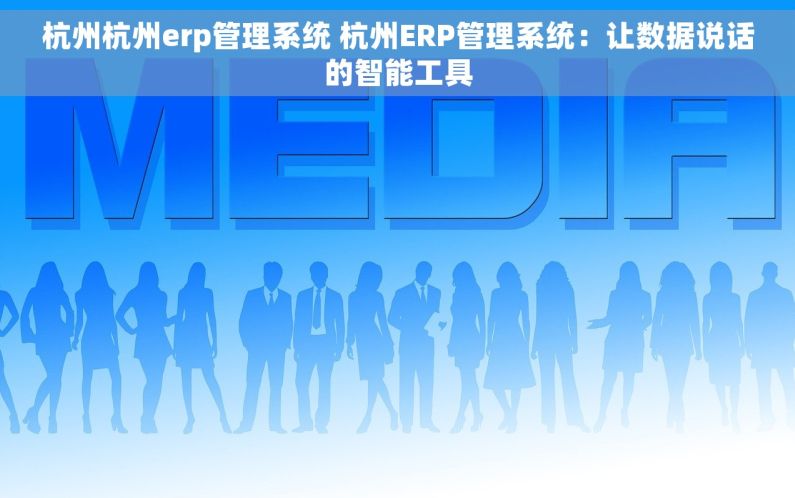 杭州杭州erp管理系统 杭州ERP管理系统：让数据说话的智能工具