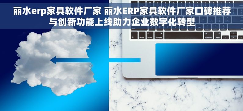 丽水erp家具软件厂家 丽水ERP家具软件厂家口碑推荐与创新功能上线助力企业数字化转型