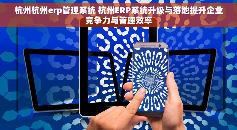 杭州杭州erp管理系统 杭州ERP系统升级与落地提升企业竞争力与管理效率