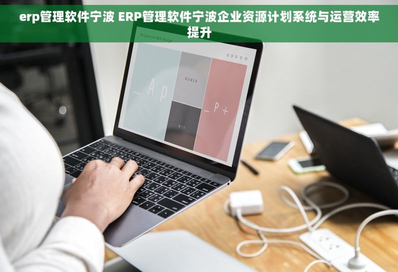erp管理软件宁波 ERP管理软件宁波企业资源计划系统与运营效率提升