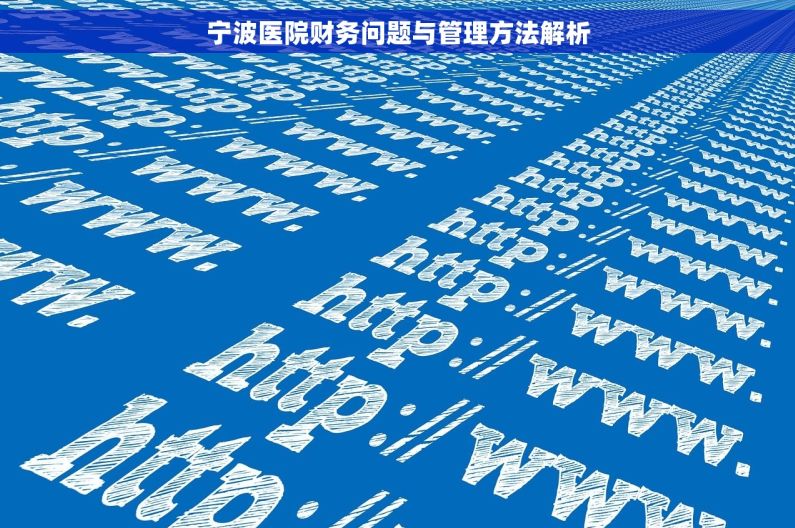 宁波医院财务问题与管理方法解析