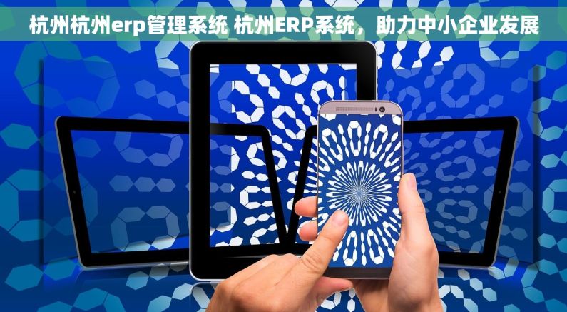 杭州杭州erp管理系统 杭州ERP系统，助力中小企业发展