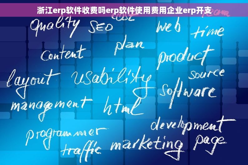 浙江erp软件收费吗erp软件使用费用企业erp开支
