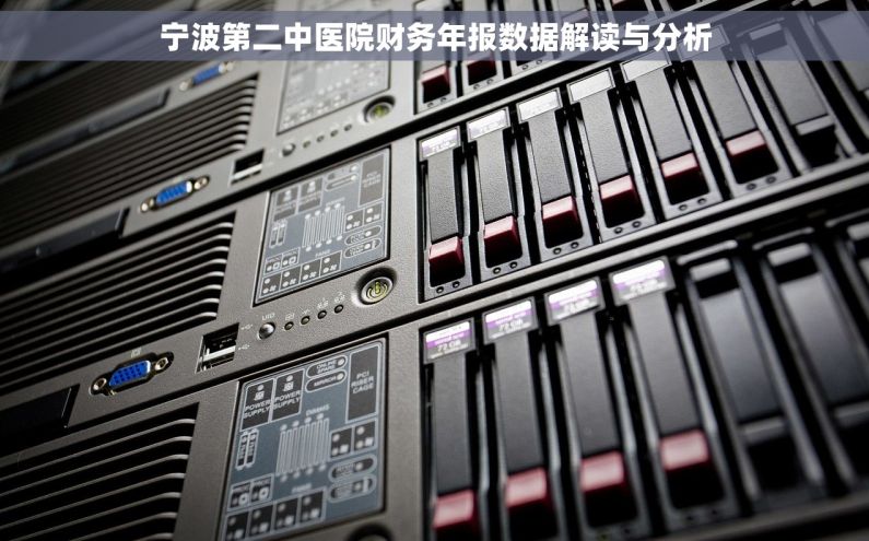 宁波第二中医院财务年报数据解读与分析