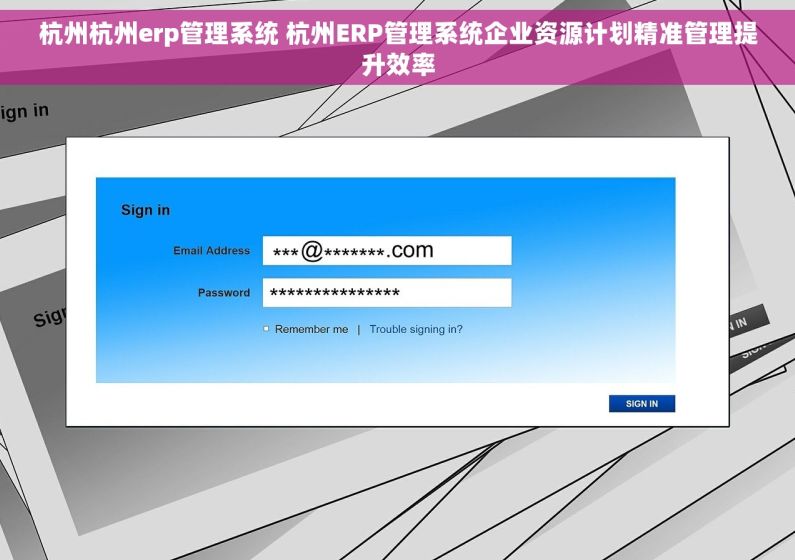 杭州杭州erp管理系统 杭州ERP管理系统企业资源计划精准管理提升效率