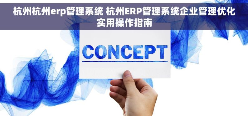 杭州杭州erp管理系统 杭州ERP管理系统企业管理优化实用操作指南