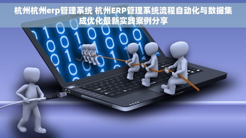 杭州杭州erp管理系统 杭州ERP管理系统流程自动化与数据集成优化最新实践案例分享