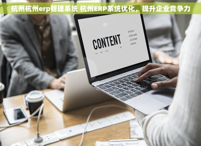 杭州杭州erp管理系统 杭州ERP系统优化，提升企业竞争力
