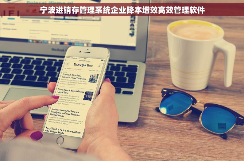 宁波进销存管理系统企业降本增效高效管理软件