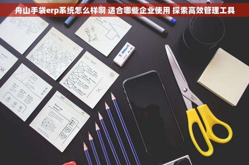 舟山手袋erp系统怎么样啊 适合哪些企业使用 探索高效管理工具