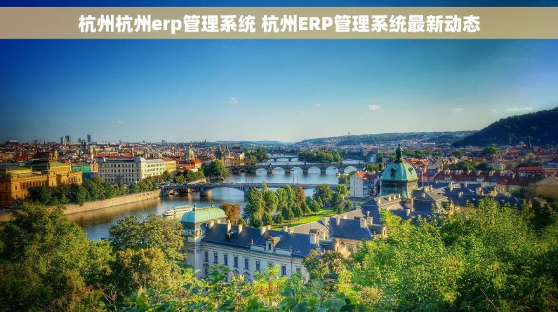杭州杭州erp管理系统 杭州ERP管理系统最新动态