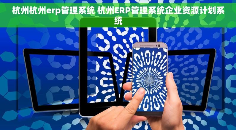 杭州杭州erp管理系统 杭州ERP管理系统企业资源计划系统
