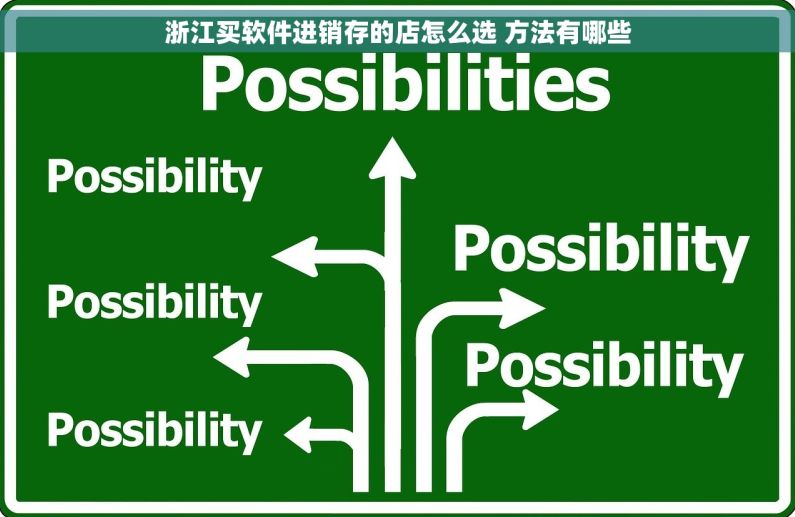 浙江买软件进销存的店怎么选 方法有哪些