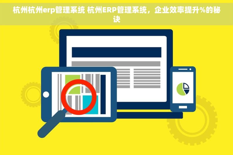 杭州杭州erp管理系统 杭州ERP管理系统，企业效率提升%的秘诀