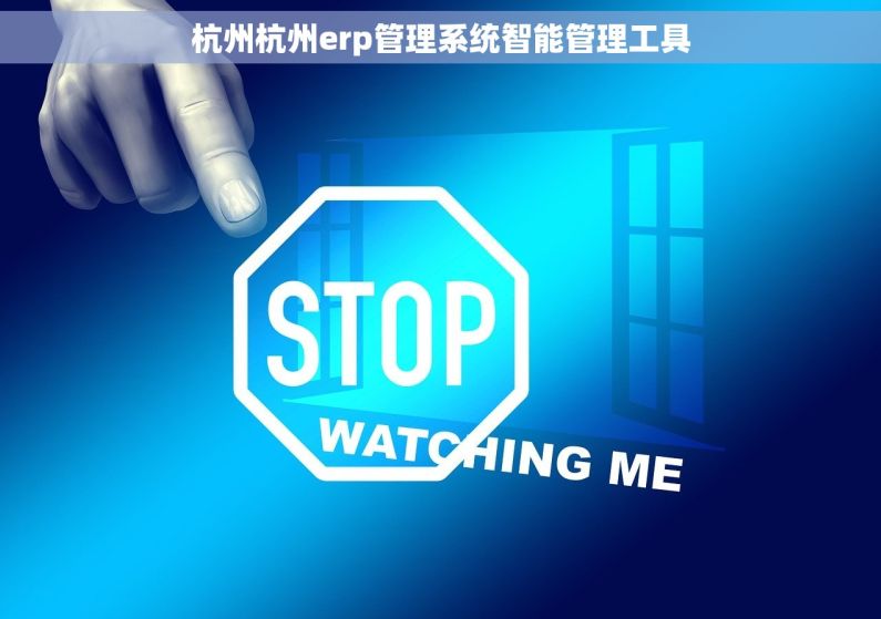 杭州杭州erp管理系统智能管理工具