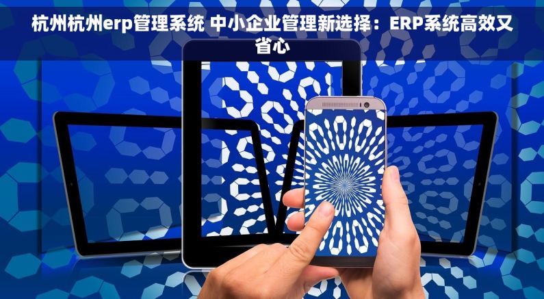 杭州杭州erp管理系统 中小企业管理新选择：ERP系统高效又省心