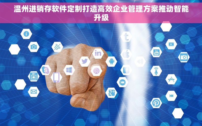 温州进销存软件定制打造高效企业管理方案推动智能升级