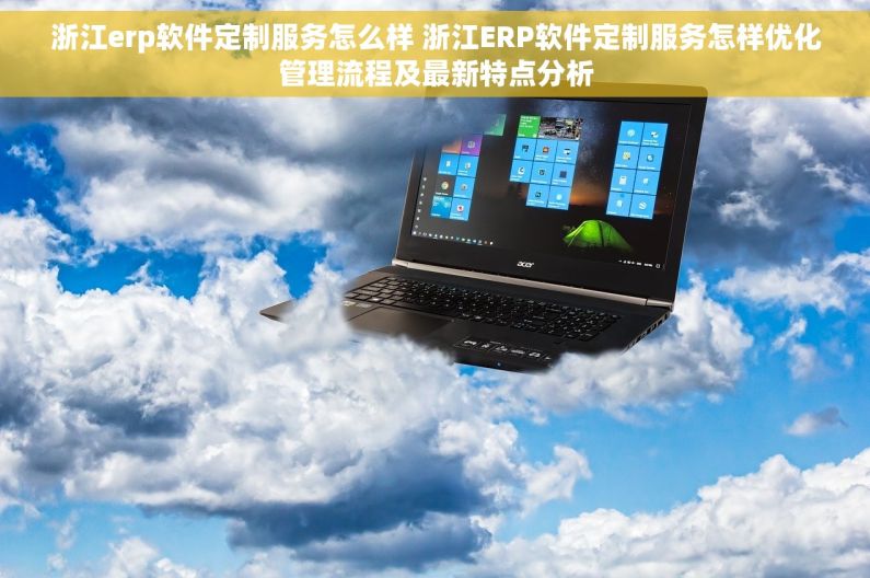 浙江erp软件定制服务怎么样 浙江ERP软件定制服务怎样优化管理流程及最新特点分析