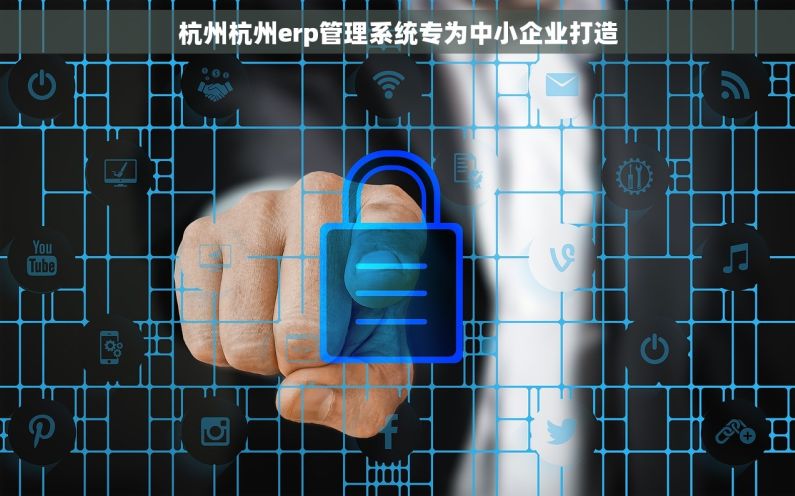 杭州杭州erp管理系统专为中小企业打造