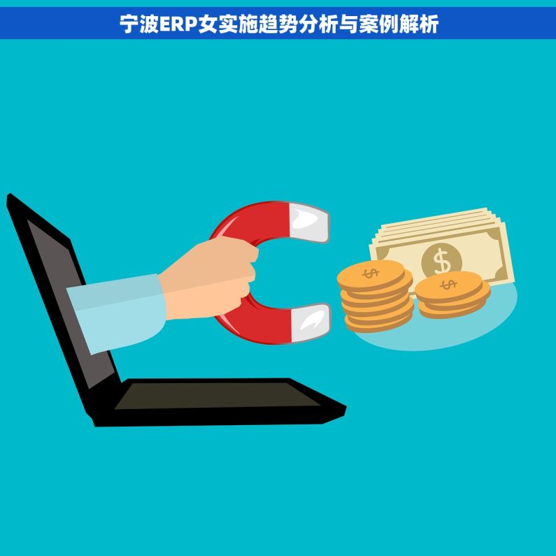 宁波ERP女实施趋势分析与案例解析