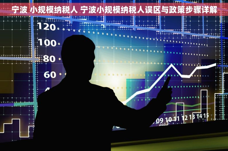 宁波 小规模纳税人 宁波小规模纳税人误区与政策步骤详解