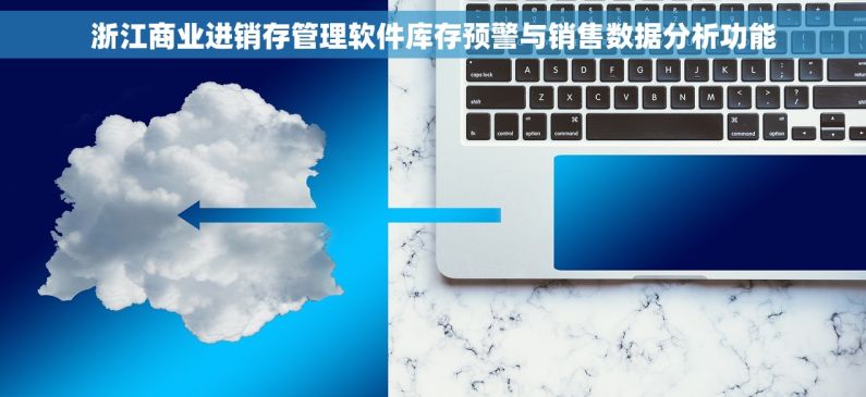 浙江商业进销存管理软件库存预警与销售数据分析功能
