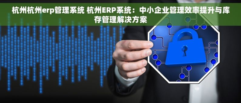 杭州杭州erp管理系统 杭州ERP系统：中小企业管理效率提升与库存管理解决方案