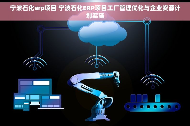 宁波石化erp项目 宁波石化ERP项目工厂管理优化与企业资源计划实施