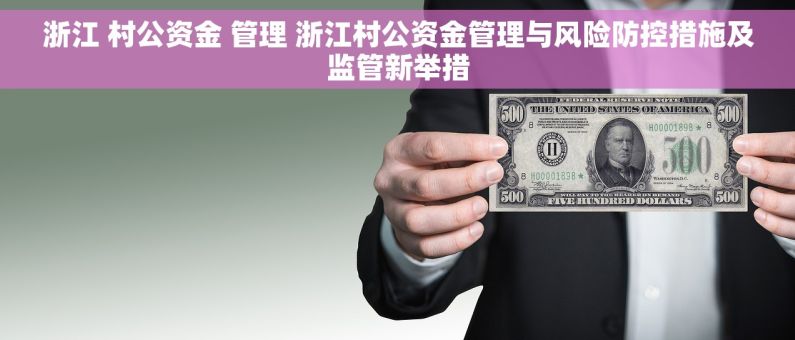 浙江 村公资金 管理 浙江村公资金管理与风险防控措施及监管新举措